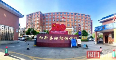 ​阳新11岁男孩子莫名患上怪病，医院网络连线问诊上海名医