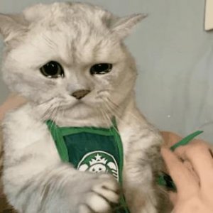 ​委屈巴巴哭唧唧表情包