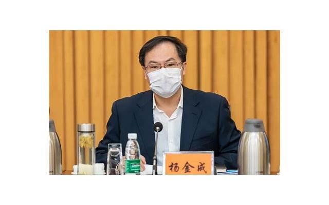 巴基斯坦坠机幸存者