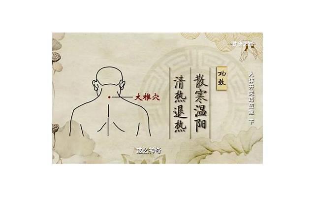 白芷的作用与功效